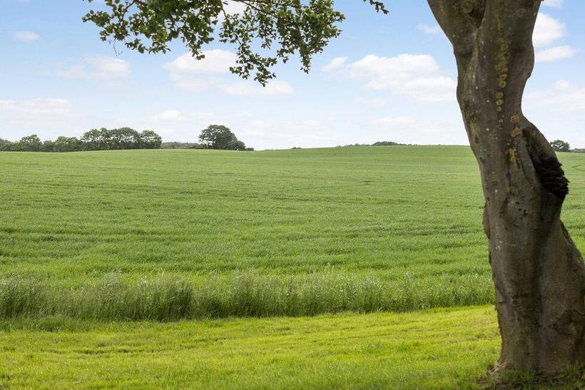 Foto von Ferienhaus FO34 auf Torup - Als