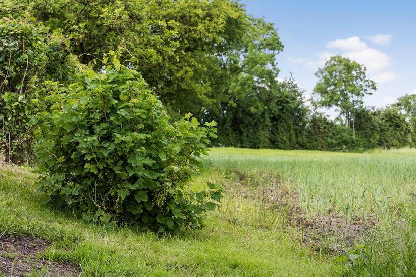 Foto von Ferienhaus FO34 auf Torup - Als