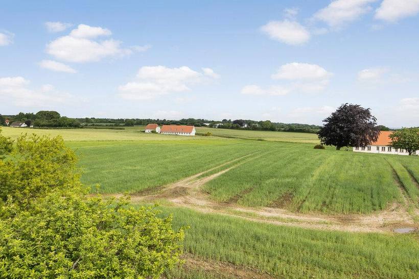 Foto von Ferienhaus FO34 auf Torup - Als