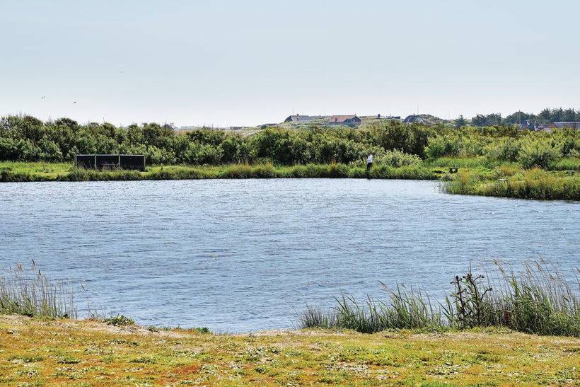 Foto von Ferienhaus FO47 in Houvig - Søndervig - Westjütland