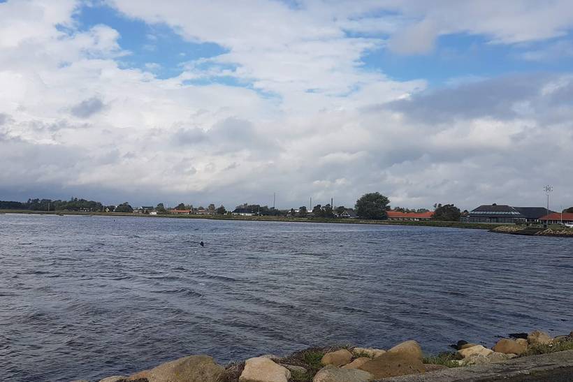 Foto von Ferienhaus FO52 in Hou - Nordjütland Ost