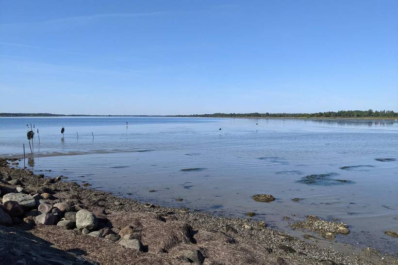 Foto von Ferienhaus FO52 in Hou - Nordjütland Ost