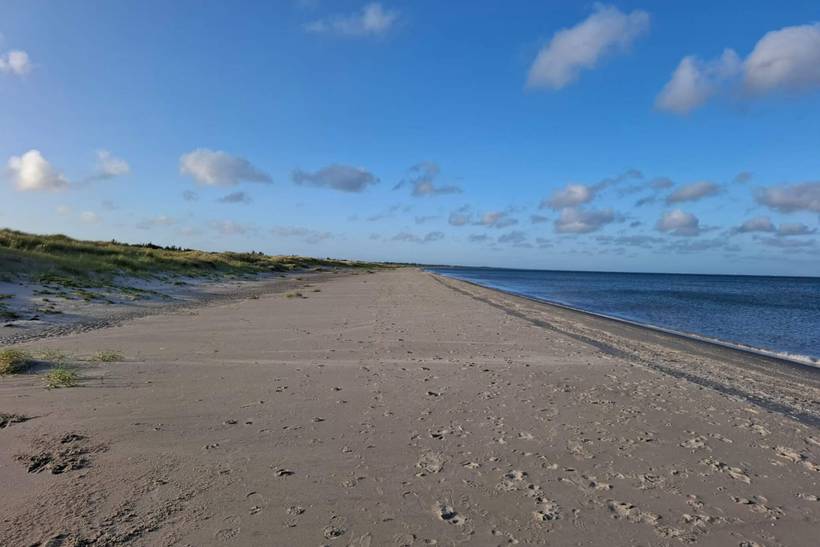 Foto von Ferienhaus FO76 in Ålbæk - Nordjütland Ost