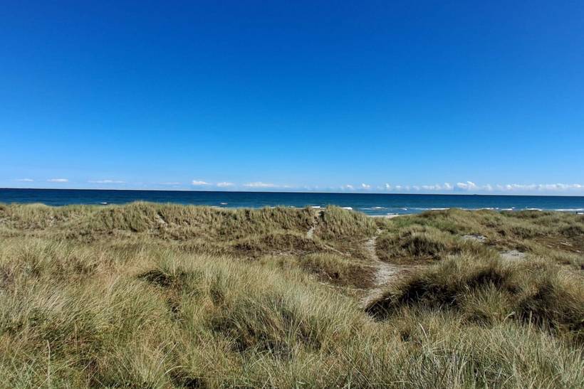 Foto von Ferienhaus FO76 in Ålbæk - Nordjütland Ost