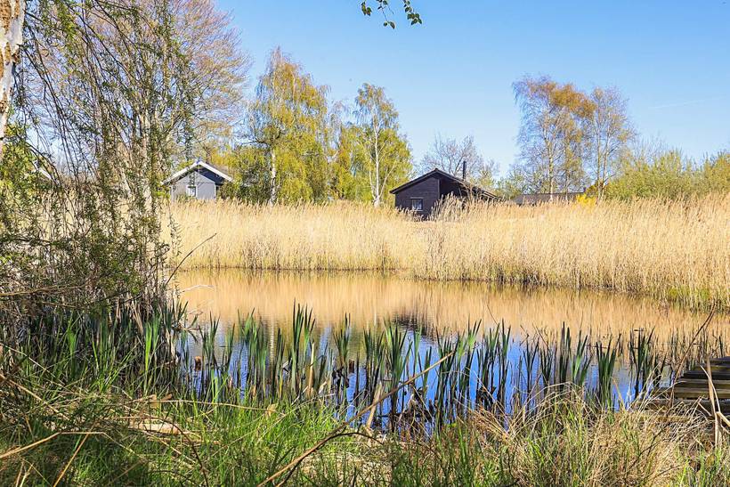 Foto von Ferienhaus FO77 in Udsholt - Rågeleje - Nordseeland
