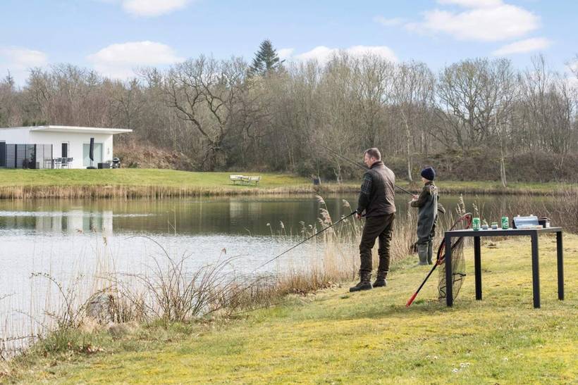 Foto von Ferienhaus FP49 in Hee - Westjütland
