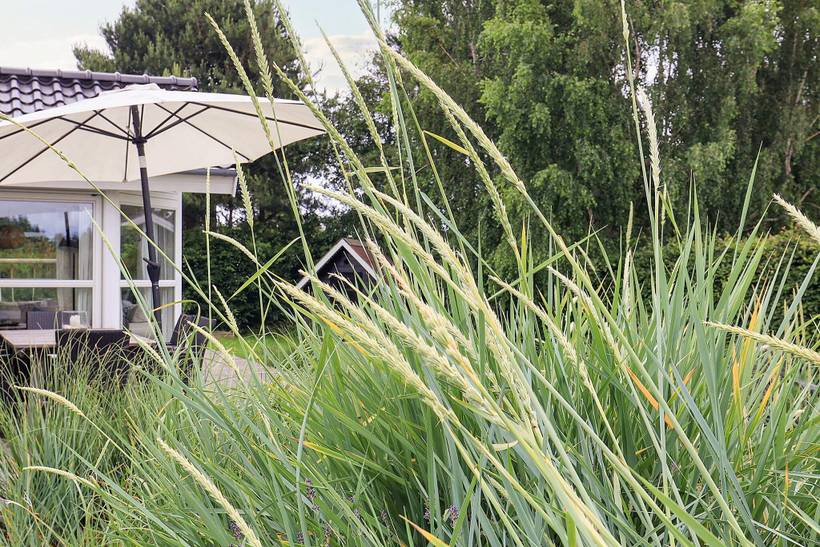 Foto von Ferienhaus FP58 in Marielyst - Falster