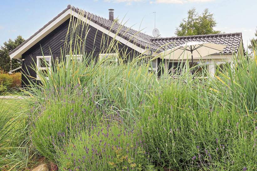 Foto von Ferienhaus FP58 in Marielyst - Falster