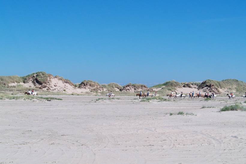 Foto von Ferienhaus FQ96 in Lakolk - Rømø