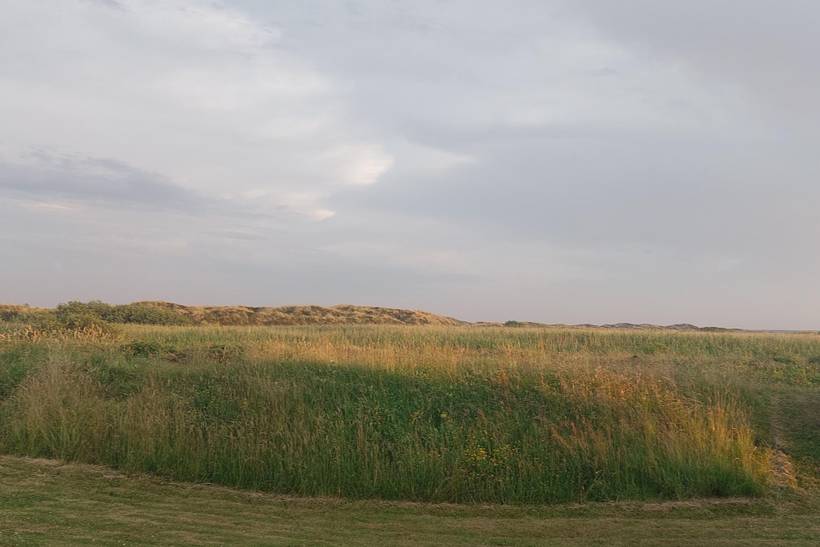 Foto von Ferienhaus FQ96 in Lakolk - Rømø
