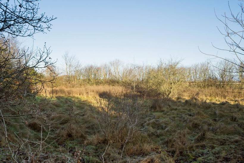 Foto von Ferienhaus FR03 in Houstrup - Westjütland