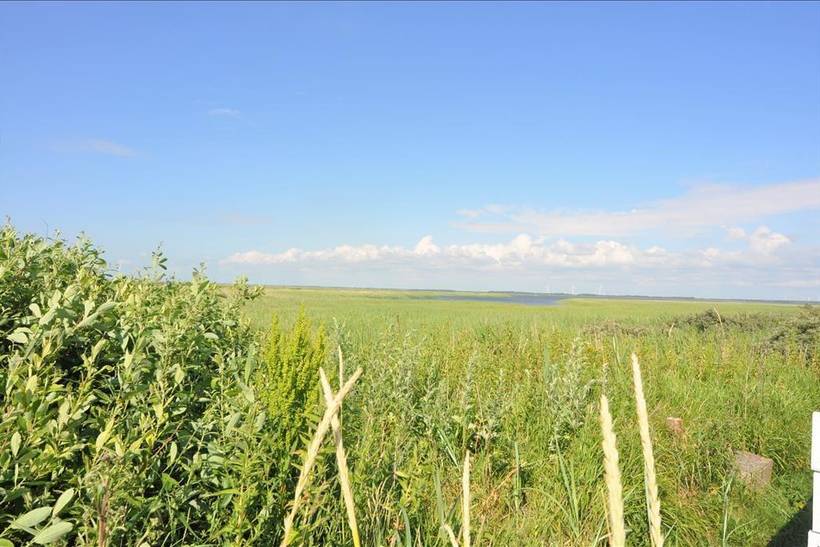 Foto von Ferienhaus FR56 in Thorsminde - Fjand - Westjütland