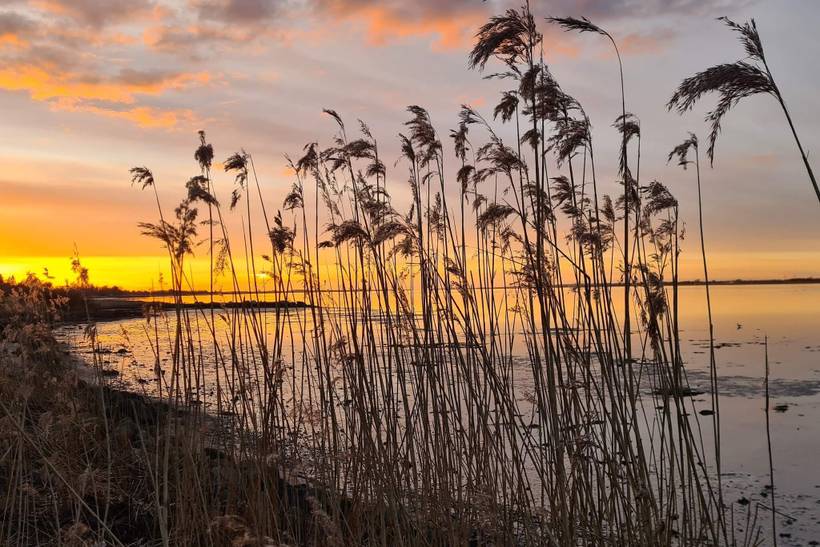 Foto von Ferienhaus FR59 in Mou - Egense - Nordjütland Ost