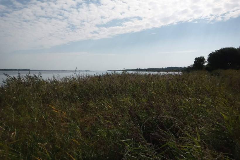 Foto von Ferienhaus FR59 in Mou - Egense - Nordjütland Ost