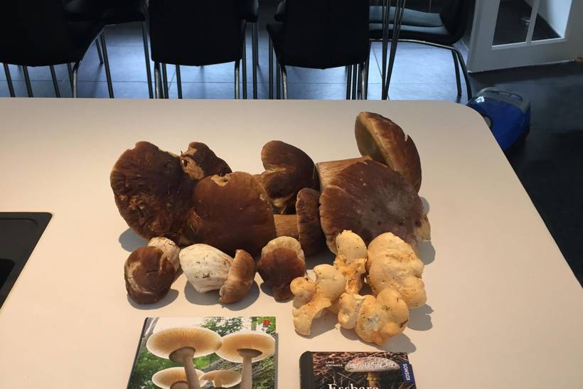 Foto von Ferienhaus FR71 in Blåvand - Westjütland