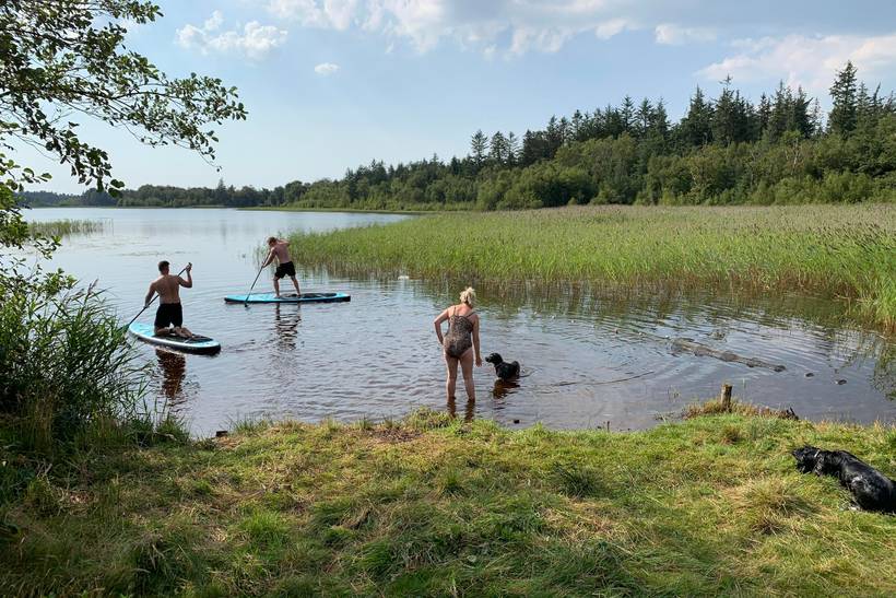 Foto von Ferienhaus FR71 in Blåvand - Westjütland