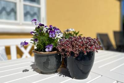 Vorschaubild von Ferienhaus FS40 in Skagen - Nordjütland