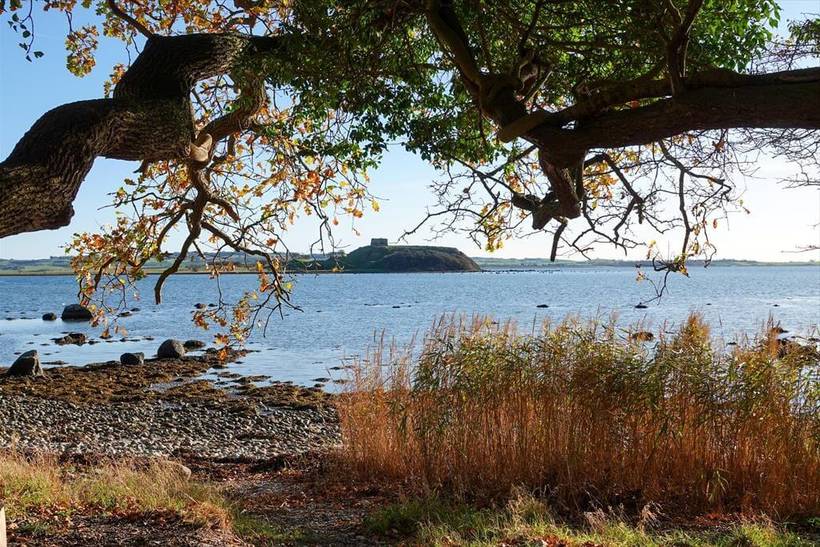 Foto von Ferienhaus FT08 in Ebeltoft - Ostjütland