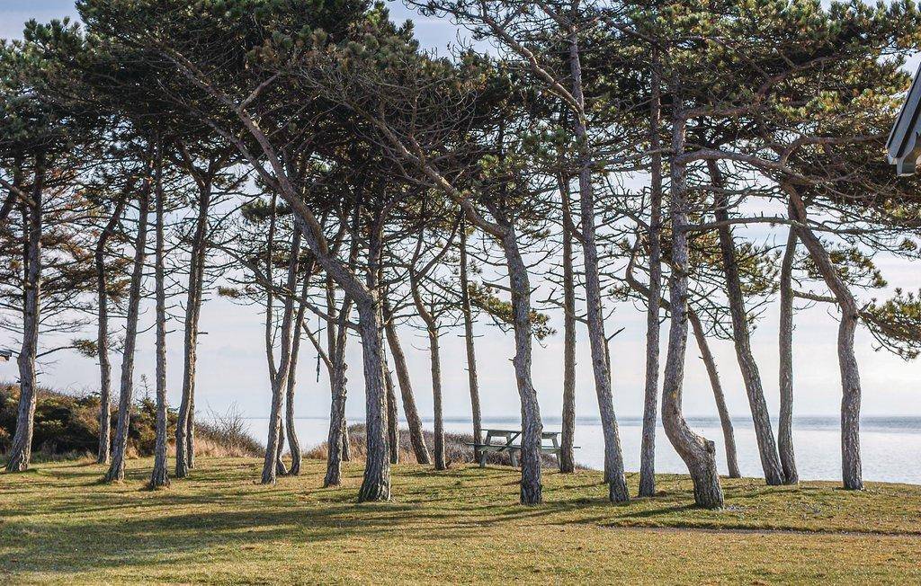 Foto von Ferienhaus FT32 in Helgenæs - Mols - Ostjütland