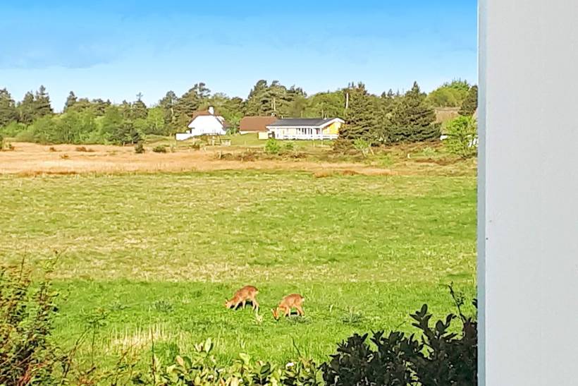 Foto von Ferienhaus FU62 in Kongsmark - Rømø