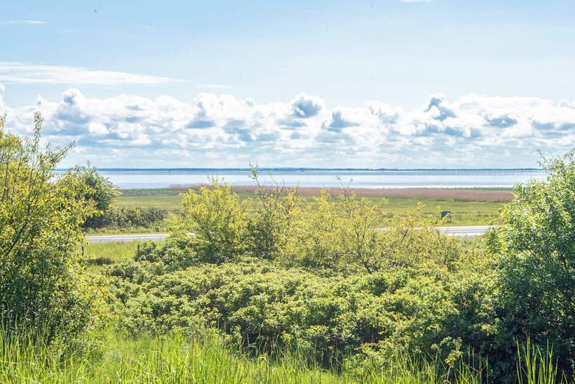 Foto von Ferienhaus FU62 in Kongsmark - Rømø