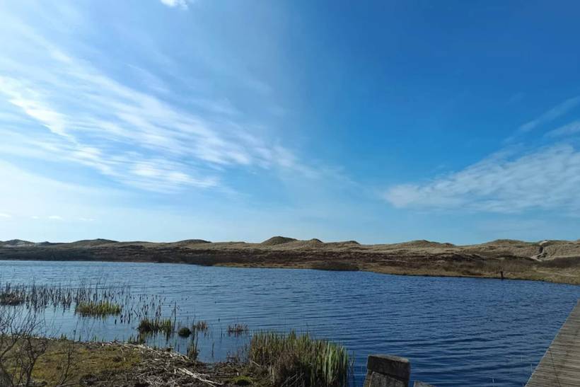 Foto von Ferienhaus FV31 in Henne Strand - Westjütland