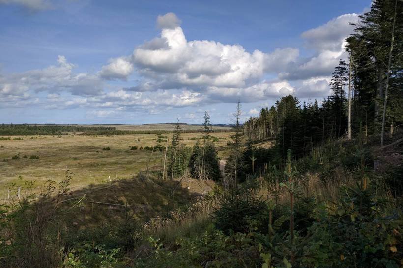 Foto von Ferienhaus FV35 in Vorupør - Thy/Limfjord