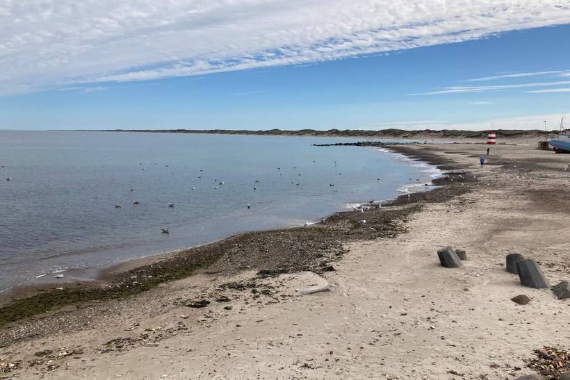 Foto von Ferienhaus FV35 in Vorupør - Thy/Limfjord