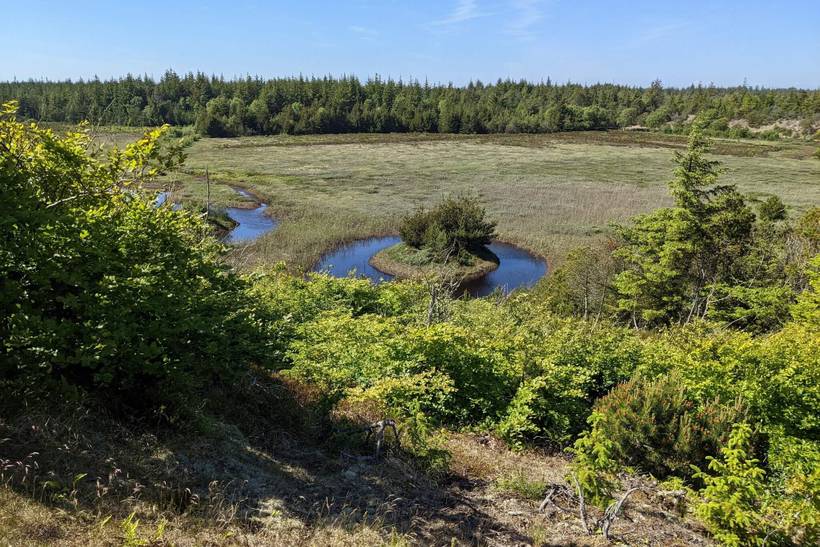 Foto von Ferienhaus FV35 in Vorupør - Thy/Limfjord