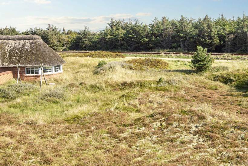 Foto von Ferienhaus FV70 in Vrist - Vejlby Klit - Westjütland
