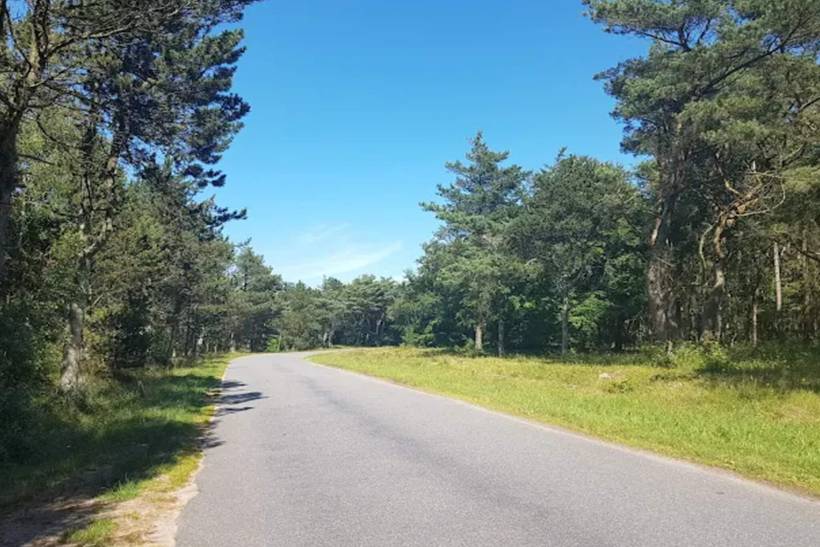 Foto von Ferienhaus FV96 in Vesterø - Læsø