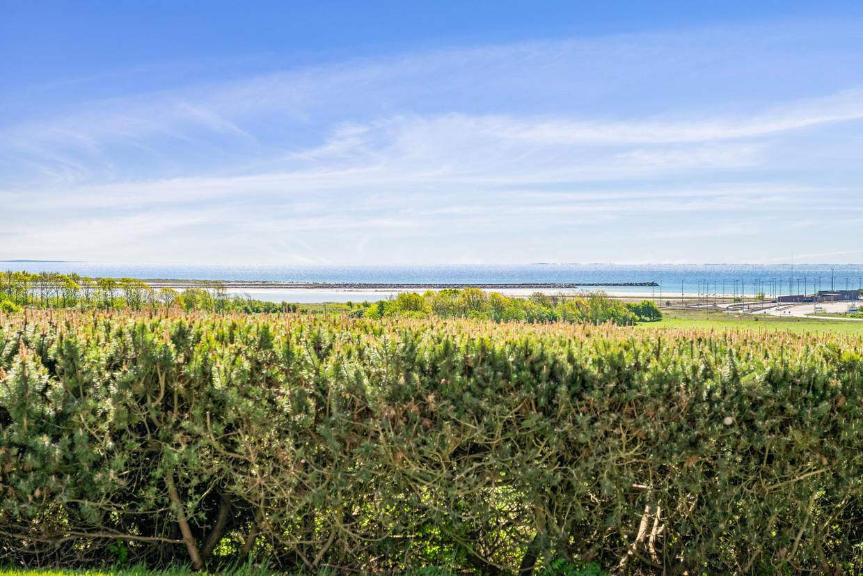 Foto von Ferienhaus FX64 in Øer - Ebeltoft - Ostjütland
