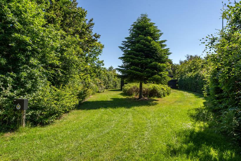 Foto von Ferienhaus FY42 in Lendrup - Thy/Limfjord