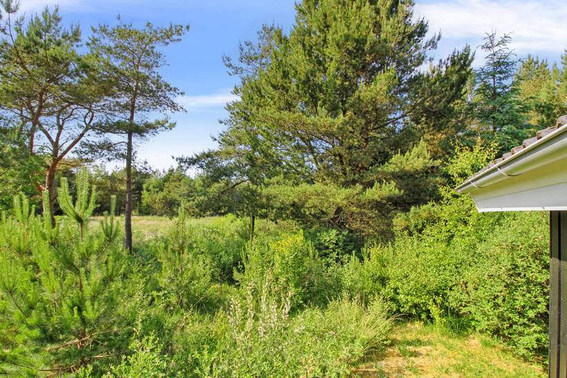 Foto von Ferienhaus FY90 in Thorup - Nordjütland