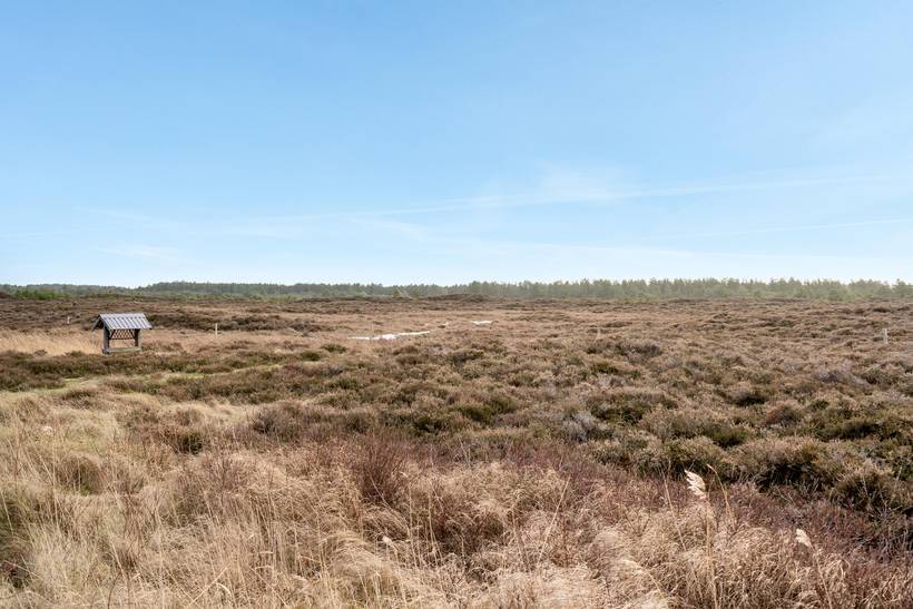 Foto von Ferienhaus FZ43 in Kongsmark - Rømø