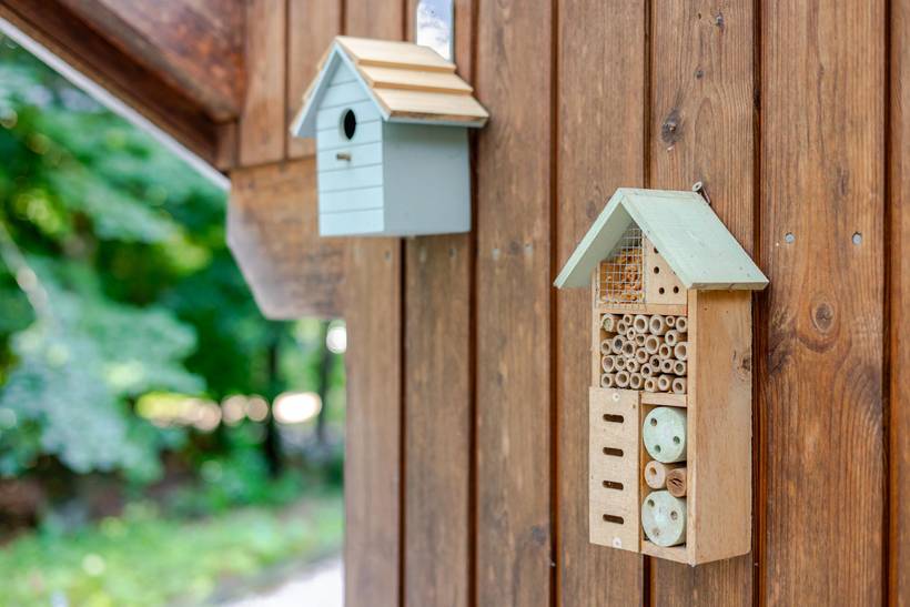 Foto von Ferienhaus FZ73 in Arrild - Südjütland