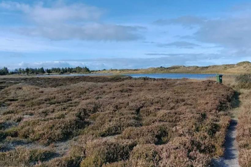 Foto von Ferienhaus GA51 in Grærup - Vejers Strand - Westjütland