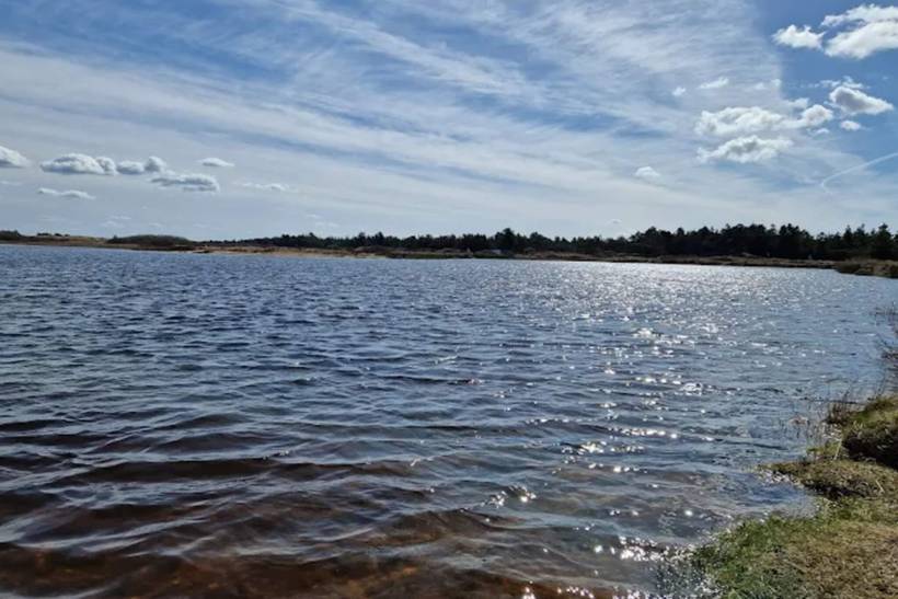 Foto von Ferienhaus GA51 in Grærup - Vejers Strand - Westjütland