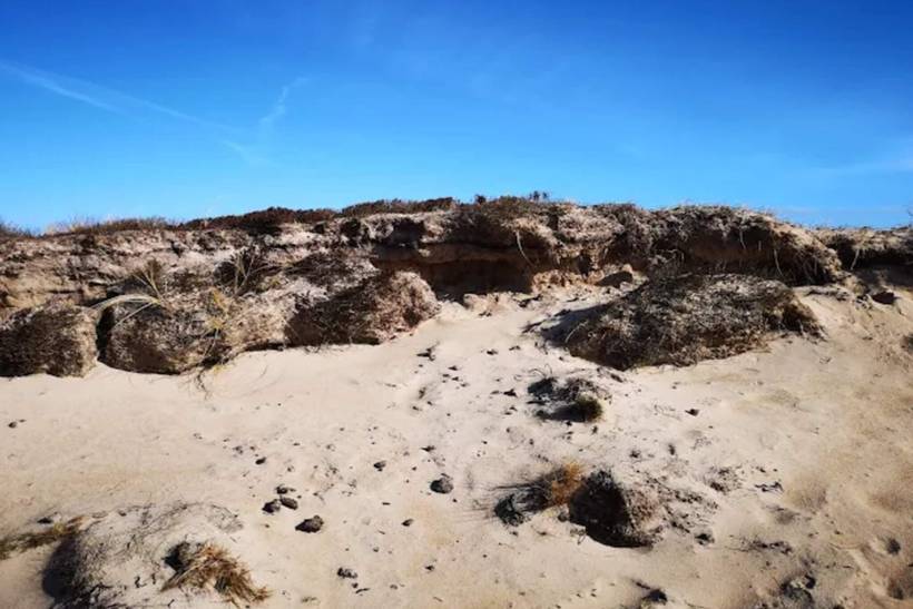 Foto von Ferienhaus GA51 in Grærup - Vejers Strand - Westjütland