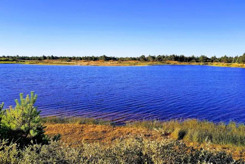 Foto von Ferienhaus GA51 in Grærup - Vejers Strand - Westjütland