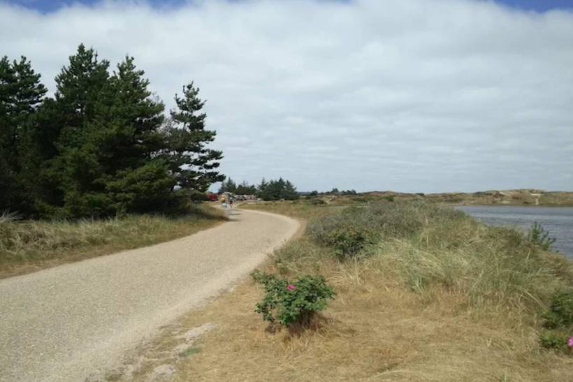 Foto von Ferienhaus GA51 in Grærup - Vejers Strand - Westjütland
