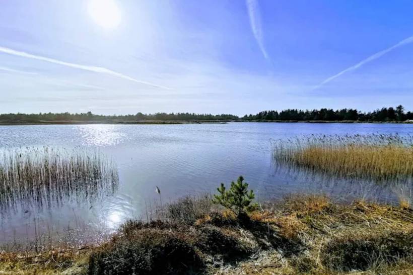 Foto von Ferienhaus GA51 in Grærup - Vejers Strand - Westjütland