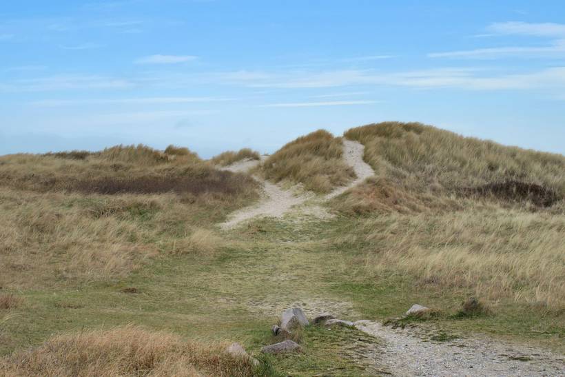 Foto von Ferienhaus GA72 in Gl. - Skagen - Nordjütland