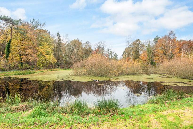 Foto von Ferienhaus GB25 in Jegum - Westjütland