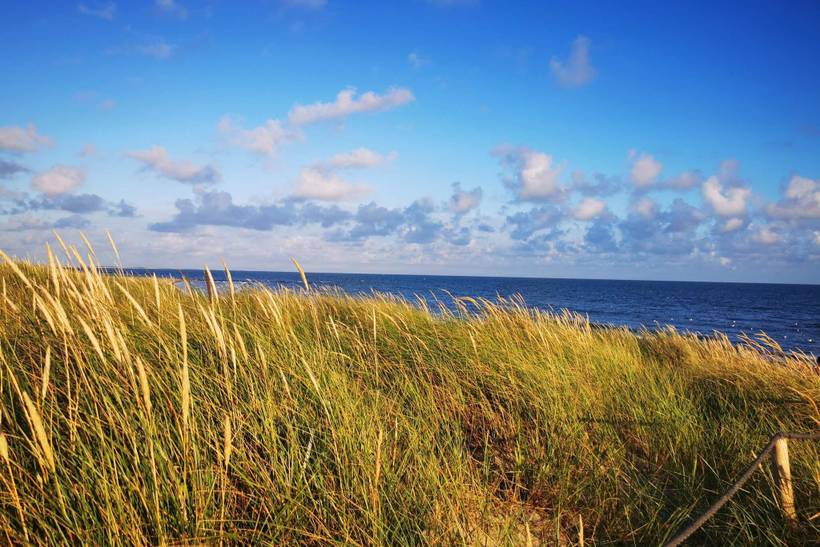 Foto von Ferienhaus GB97 in Blåvand - Westjütland