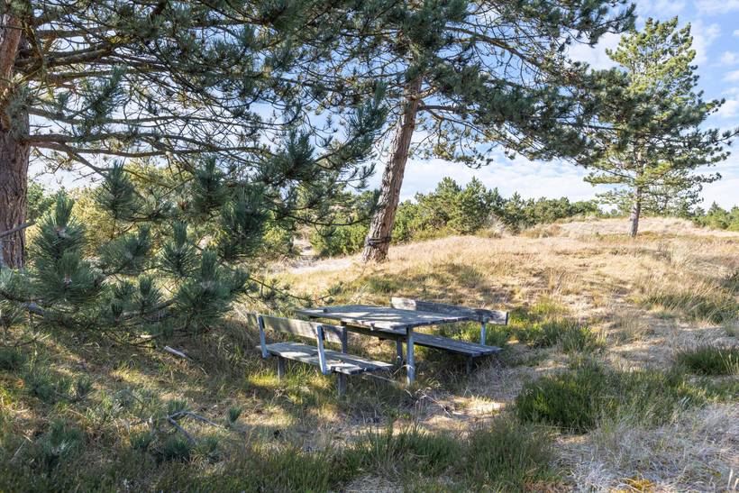 Foto von Ferienhaus GC48 in Blåvand - Westjütland