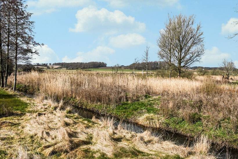Foto von Ferienhaus GC56 in Grønninghoved - Südjütland