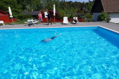 Vorschaubild von Ferienhaus GC71 in Dueodde - Bornholm