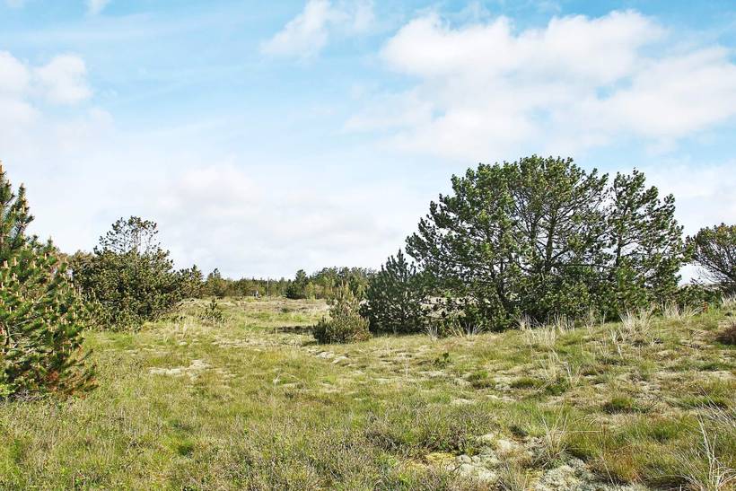 Foto von Ferienhaus GC89 in Ålbæk - Nordjütland Ost