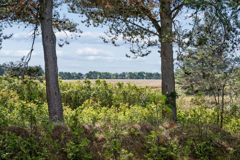 Foto von Ferienhaus GD08 in Boeslum - Ebeltoft - Ostjütland